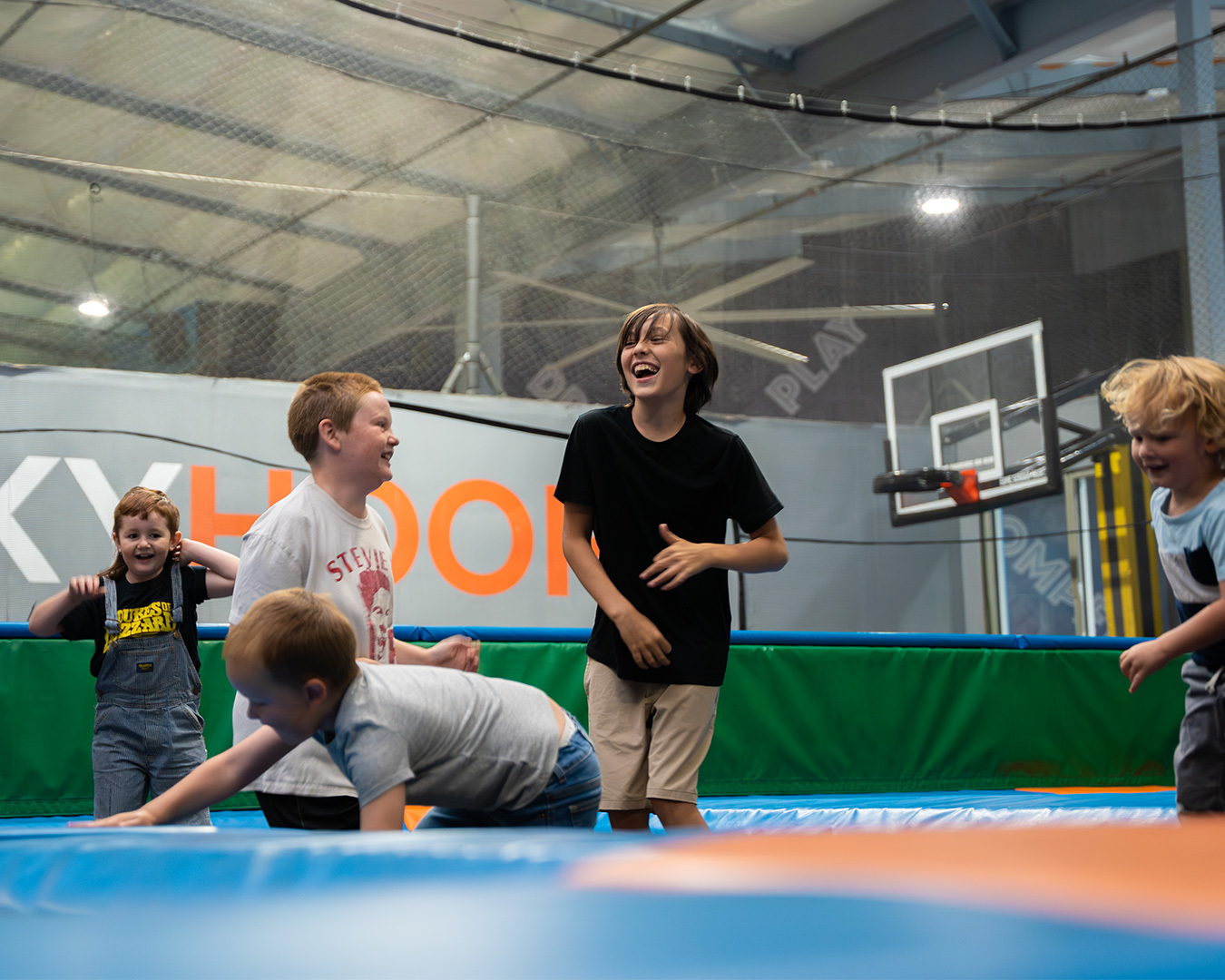 Sky Zone Birthday Web Card